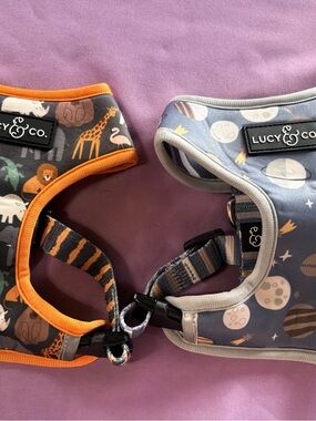 Lucy&Co XS Orange and Blue Animal & Space Harness Set